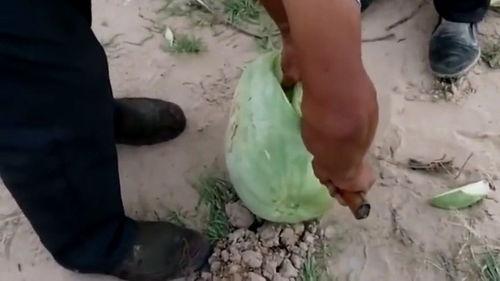 黑瓜吃料网在哪里打开的,黑瓜吃料网神秘入口,带你轻松打开美食世界