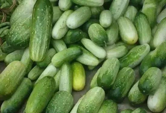 黑料吃瓜云南,黑料吃瓜背后的真相与争议