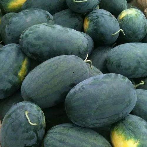 猎奇吃瓜黑料com