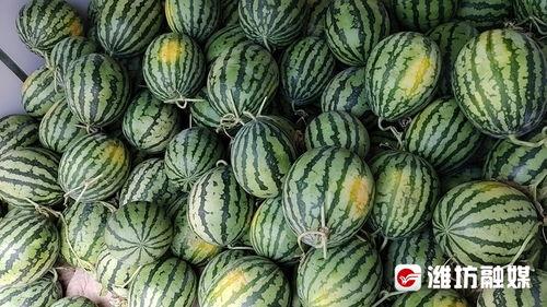 网爆门黑料吃瓜二区,二区吃瓜群众热议事件真相